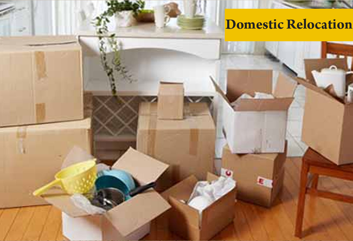 domestic relocation